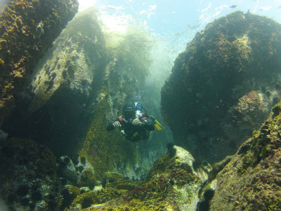 Rio de Janeiro: Arraial do Cabo Scuba Diving Day Trip - Price and Value: What $255 Buys (and What It Doesn’t)