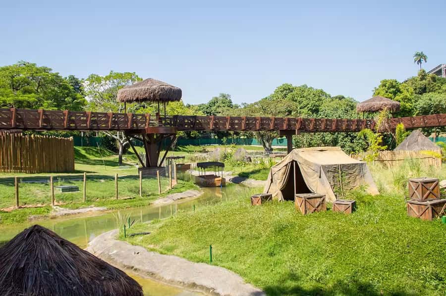 Rio de Janeiro: BioParque Guided Tour with Transfer - BioParque Guided Tour: Key Things to Know Up Front