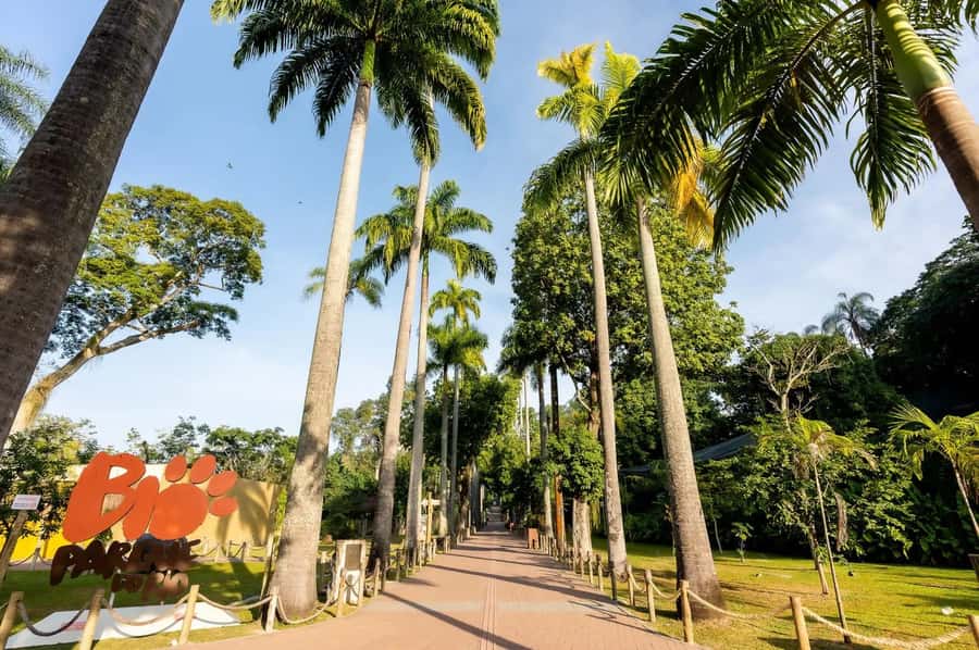 Rio de Janeiro: BioParque Guided Tour with Transfer - Getting there from Copacabana, Ipanema, Leblon, and Centro