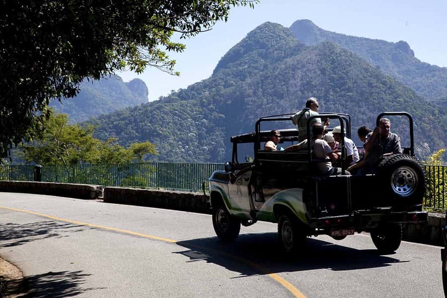 Rio de Janeiro: Botanical Garden & Tijuca Forest Guided Tour - Tijuca Forest, Rio’s urban rainforest, in a half-day format