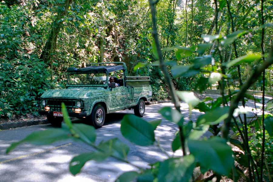 Rio de Janeiro: Botanical Garden & Tijuca Forest Guided Tour - Convertible jeep through Tijuca: what to expect on the ride