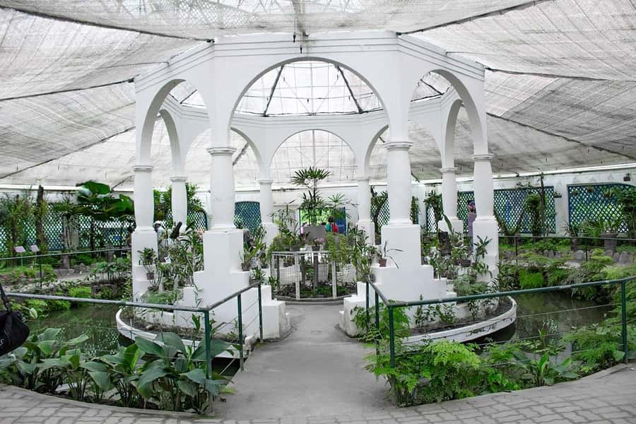Rio de Janeiro: Botanical Garden & Tijuca Forest Guided Tour - How the 4 hours actually works, and how not to feel rushed