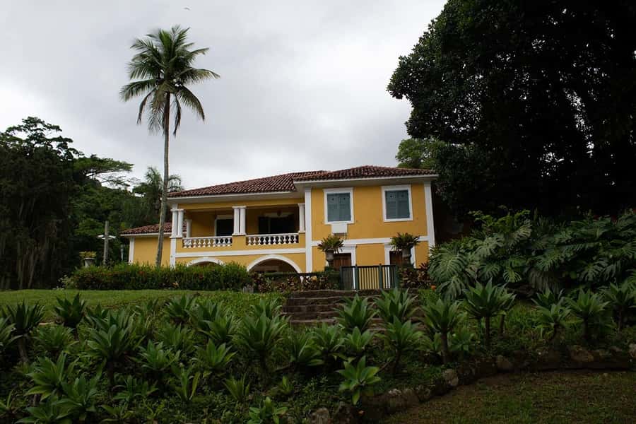 Rio de Janeiro: Botanical Garden & Tijuca Forest Guided Tour - Bilingual guide and small-group size: the real value in $85
