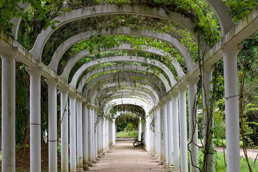 Rio de Janeiro: Botanical Garden & Tijuca Forest Guided Tour - Price and value: what $85 includes, and what it does not