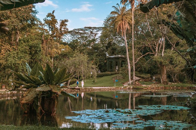 Rio de Janeiro Botanical Garden & Tijuca Forest Tour - A Half-Day That Pairs Rio’s Botany With Tijuca’s Forest Views