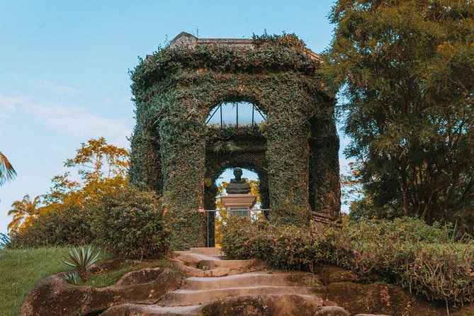 Rio de Janeiro Botanical Garden & Tijuca Forest Tour - What the Guides Add, and What to Watch For