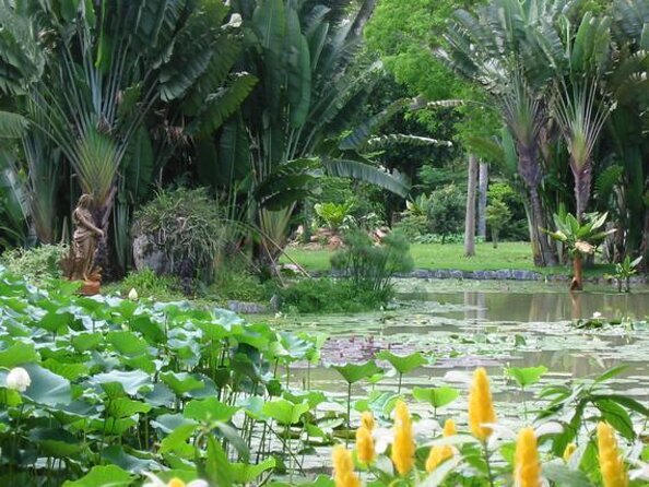 Rio de Janeiro Botanical Garden Tour - From Central Rio Hotel Pickup to the Garden Entrance
