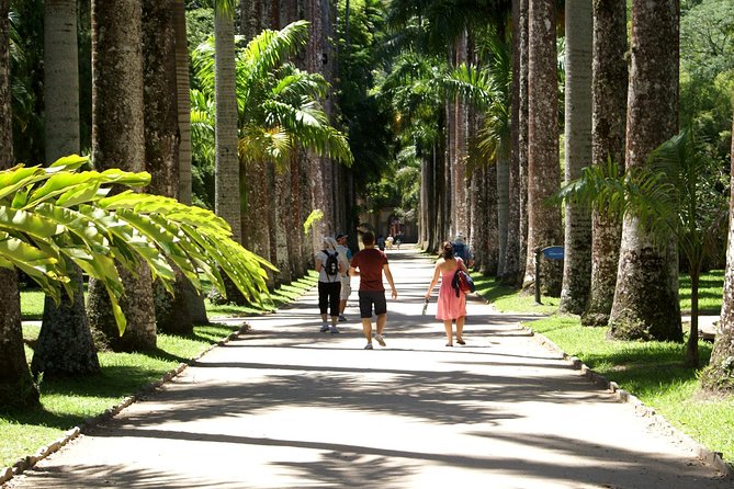 Rio de Janeiro Botanical Garden Tour - Price and Ticket Clarity for $81.35