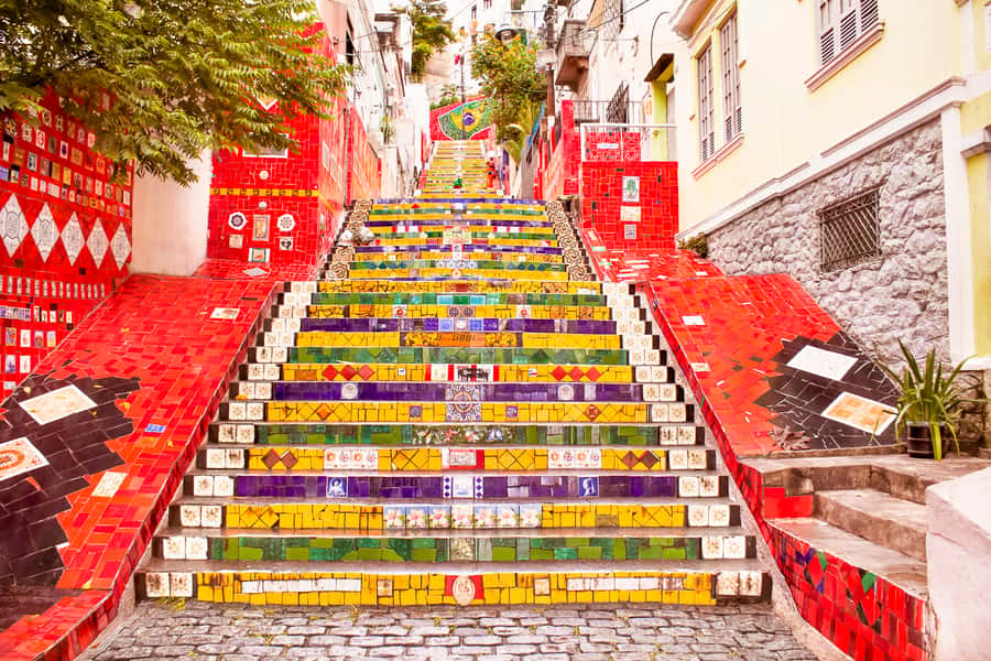Rio de Janeiro: Christ, Selaron Steps, and Tijuca Park Tour - A fast way to see Rio’s biggest icons in one day