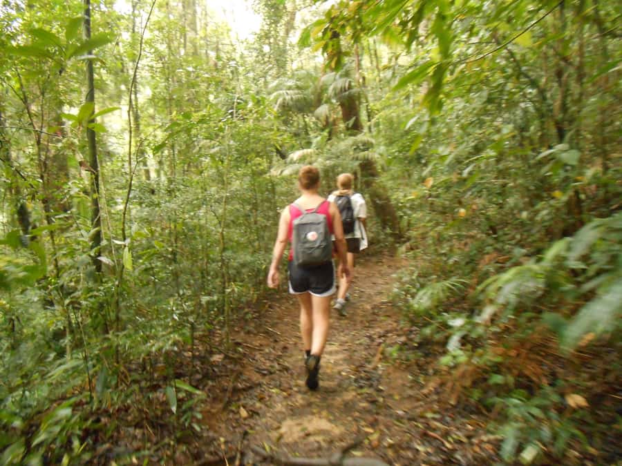 Rio de Janeiro: Christ the Redeemer Guided Hike - Is it worth booking? My take