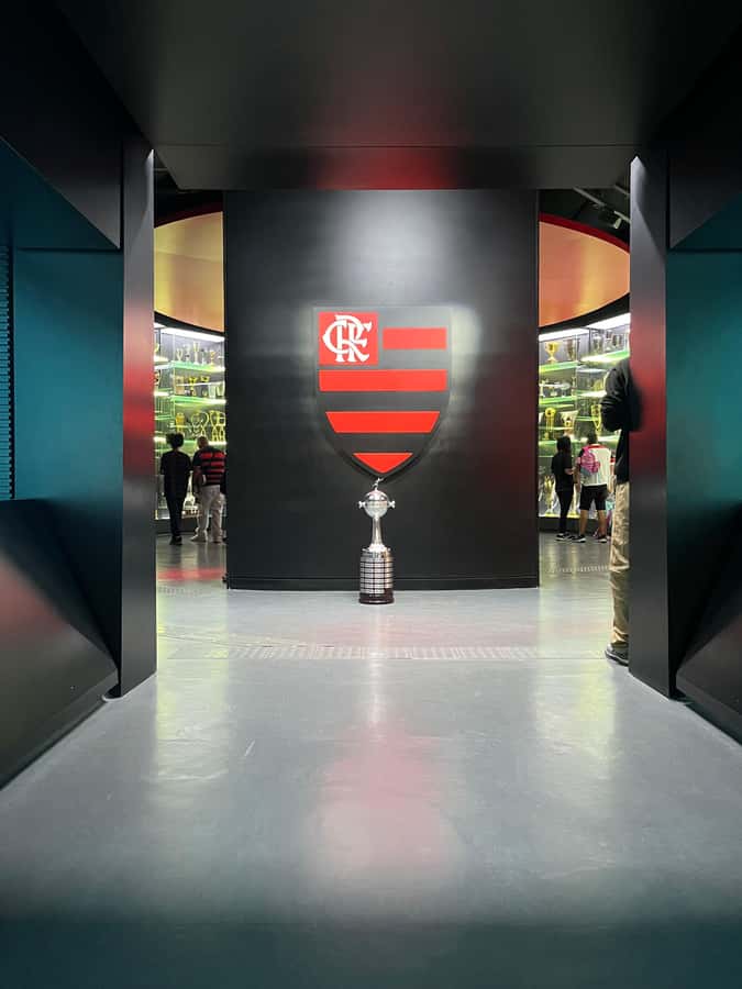 Rio de Janeiro: Flamengo Museum Ticket Entrance - Flamengo Museum at Gávea: what you are really buying