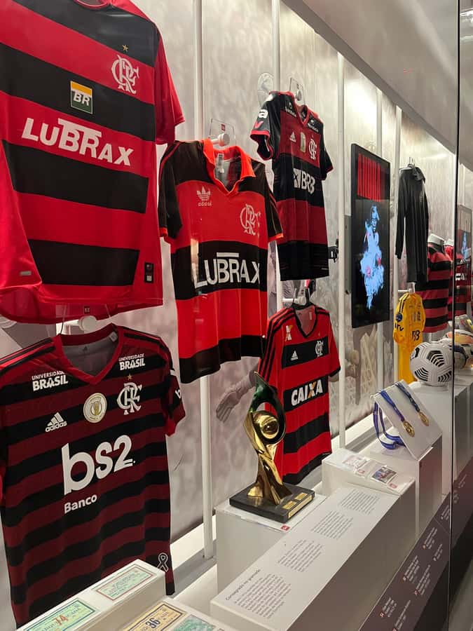 Rio de Janeiro: Flamengo Museum Ticket Entrance - Digital guide in multiple languages: how to use it well