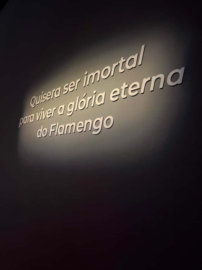 Rio de Janeiro: Flamengo Museum Ticket Entrance - The route through Flamengo’s story, from sailing days to matchday legends