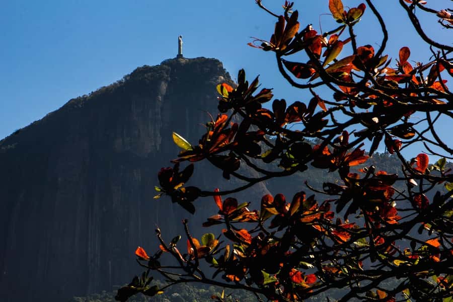 Rio de Janeiro: Guided Bike Tours in Small Groups - Why ride Rio on two wheels instead of just sightseeing