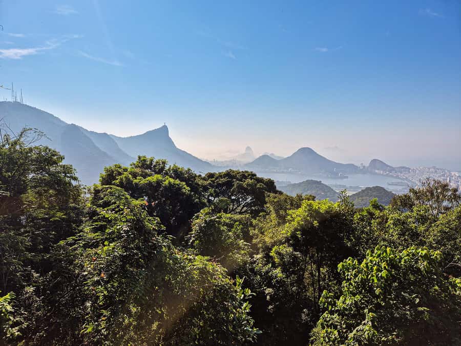 Rio de Janeiro: Guided Jeep Tour through Tijuca Rainforest - Capela Mayrink, waterfalls, and the kind of photos you actually use