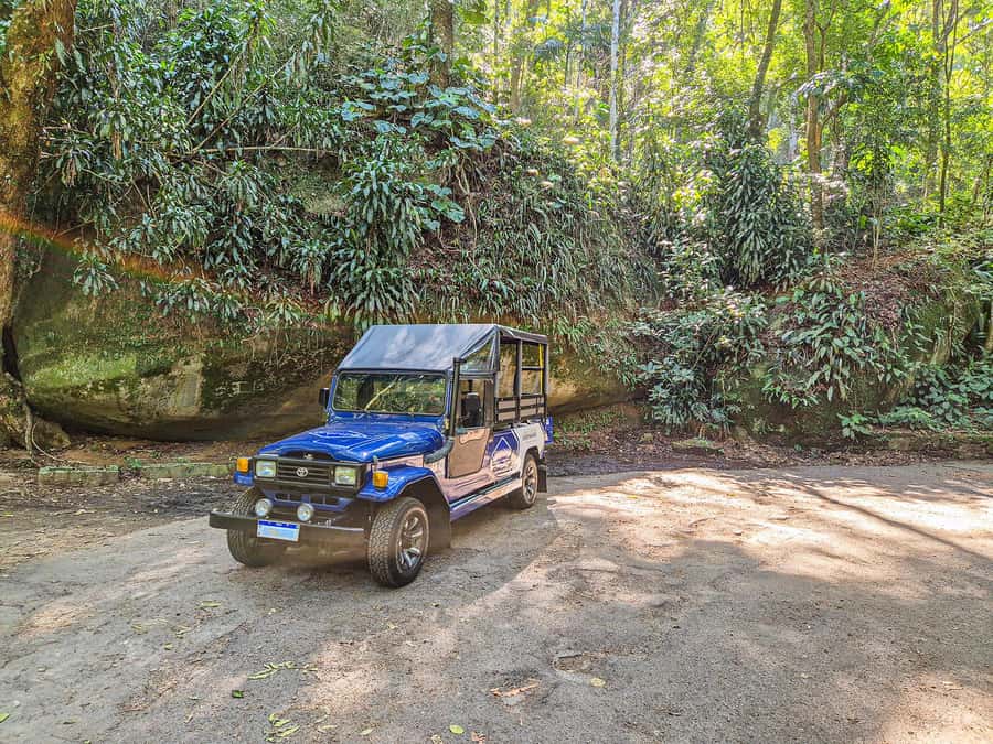 Rio de Janeiro: Guided Jeep Tour through Tijuca Rainforest - The one-hour hike in the rainforest, easy on paper, active in real life