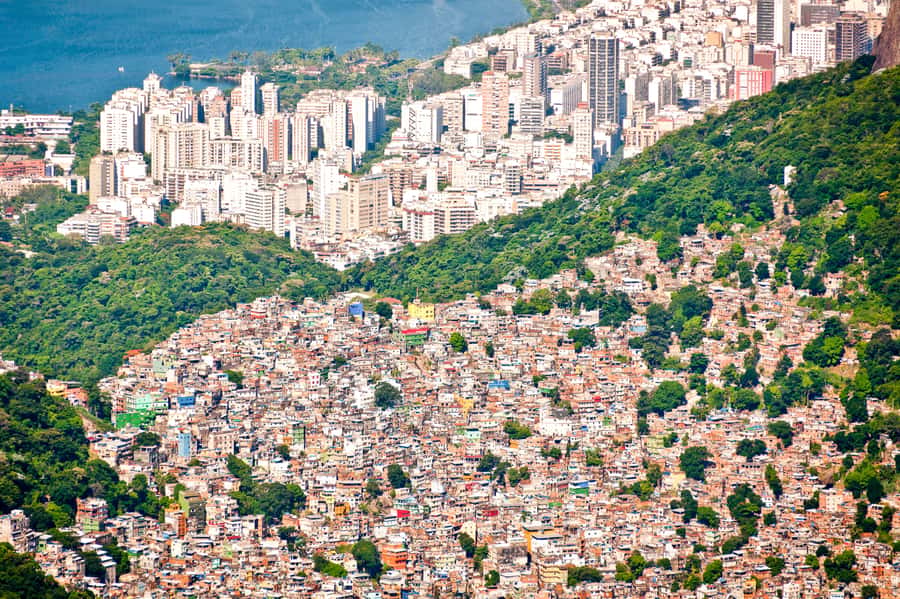 Rio De Janeiro: Half-Day Rocinha Favela Walking Tour - Local Guides You Can Actually Ask Real Questions