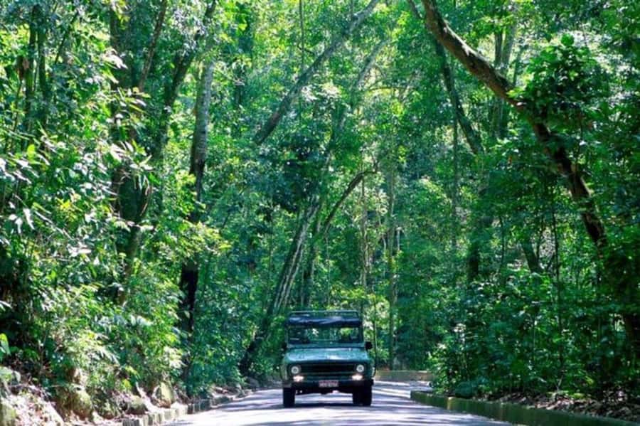 Rio de Janeiro: Jeep Tour Christ the Redeemer + Sugar Loaf - Key things I’d watch for before you go