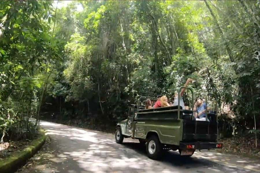 Rio de Janeiro: Jeep Tour Christ the Redeemer + Sugar Loaf - Who This Jeep Tour Is Best For