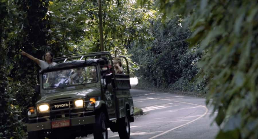 Rio de Janeiro: Jeep Tour in the Tijuca Forest - First up, the open-top Jeep in Rio’s Tijuca Forest