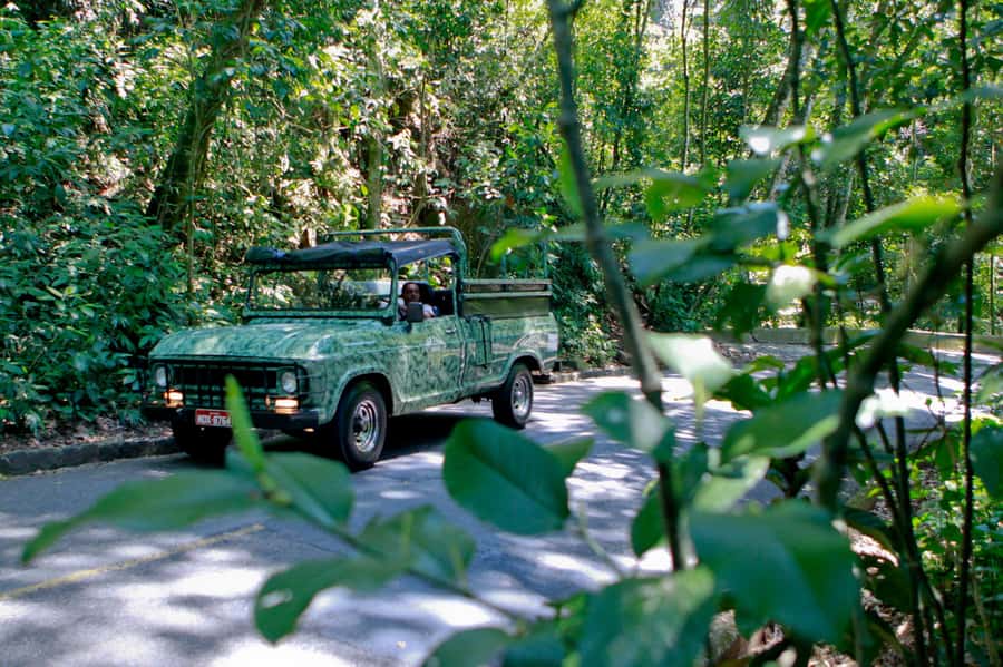 Rio de Janeiro: Jeep Tour in the Tijuca Forest - The 4-hour flow, and why it feels easy on your legs