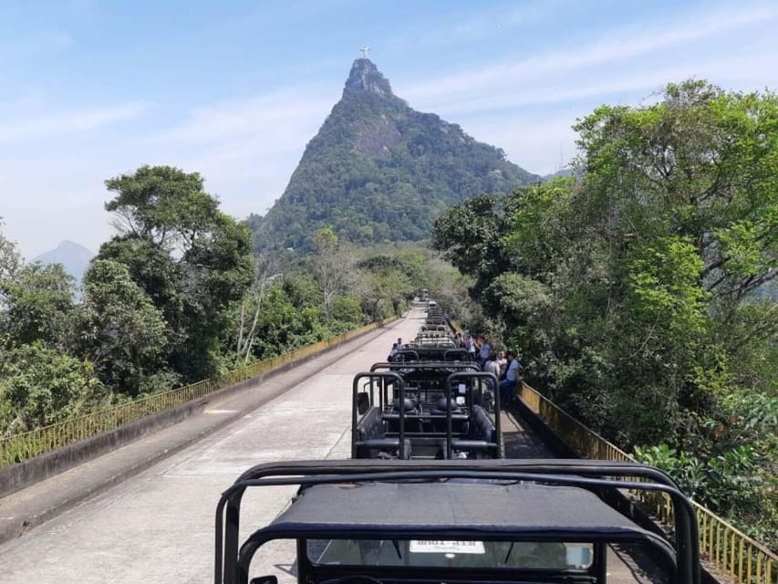 Rio de Janeiro: Jeep Tour in the Tijuca Forest - Wildlife sightings: what you should hope for, and what to expect