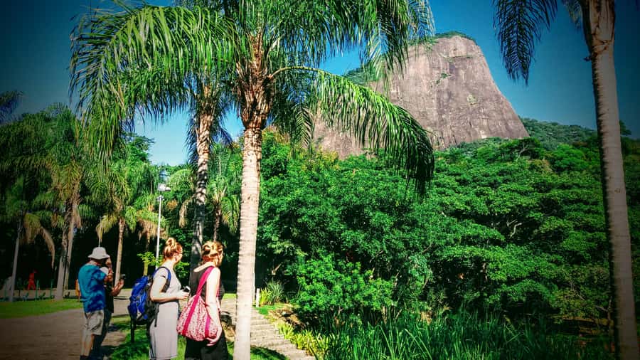 Rio de Janeiro Nature Secrets 'The Eco Citytour' - Getting underway at Parque Natural Municipal Dois Irmãos