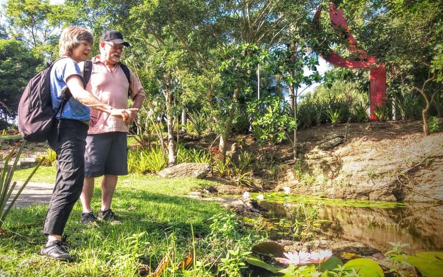 Rio de Janeiro Nature Secrets 'The Eco Citytour' - Tijuca Forest National Park: Chinese View and Taunay Waterfall