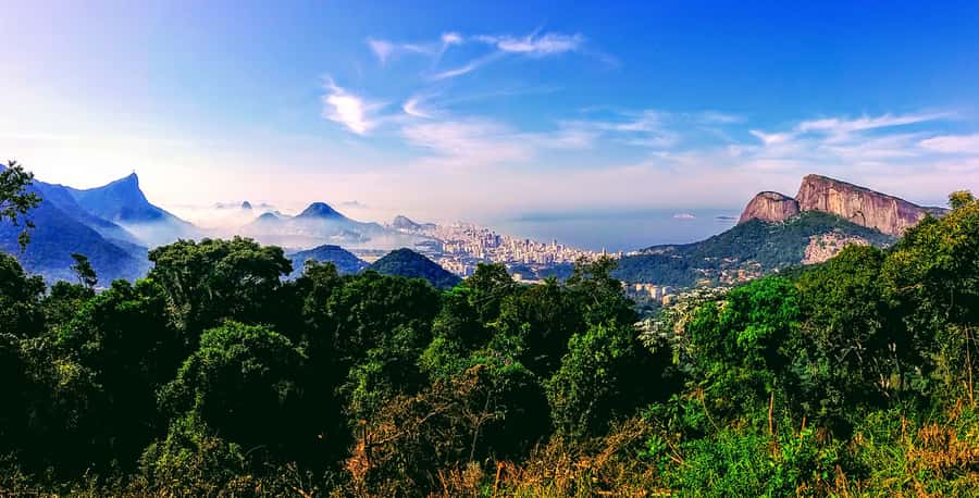 Rio de Janeiro Nature Secrets 'The Eco Citytour' - Lunch time at Barra da Tijuca: fuel without derailing the flow