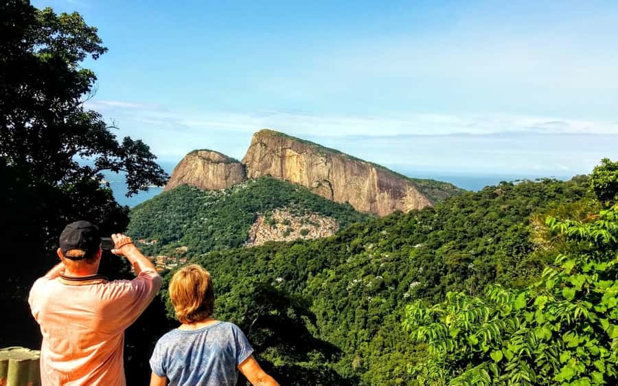 Rio de Janeiro Nature Secrets 'The Eco Citytour' - Marapendi Park: mangroves and the wildlife chance
