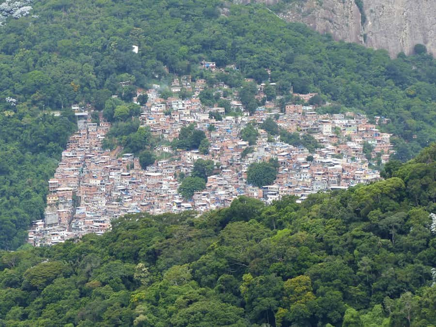 Rio de Janeiro: Private Day Tour with lunch - Key Points You Should Know Before You Go