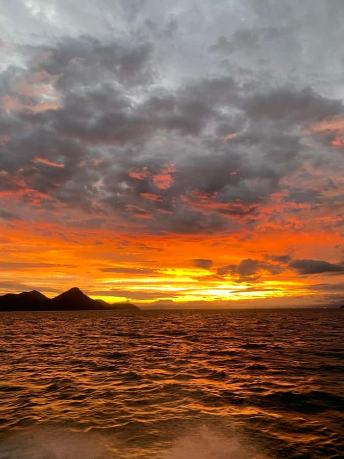 Rio de Janeiro: SpeedBoat Tour - Sunset with Beer - Guide and group size, why this feels calm instead of chaotic