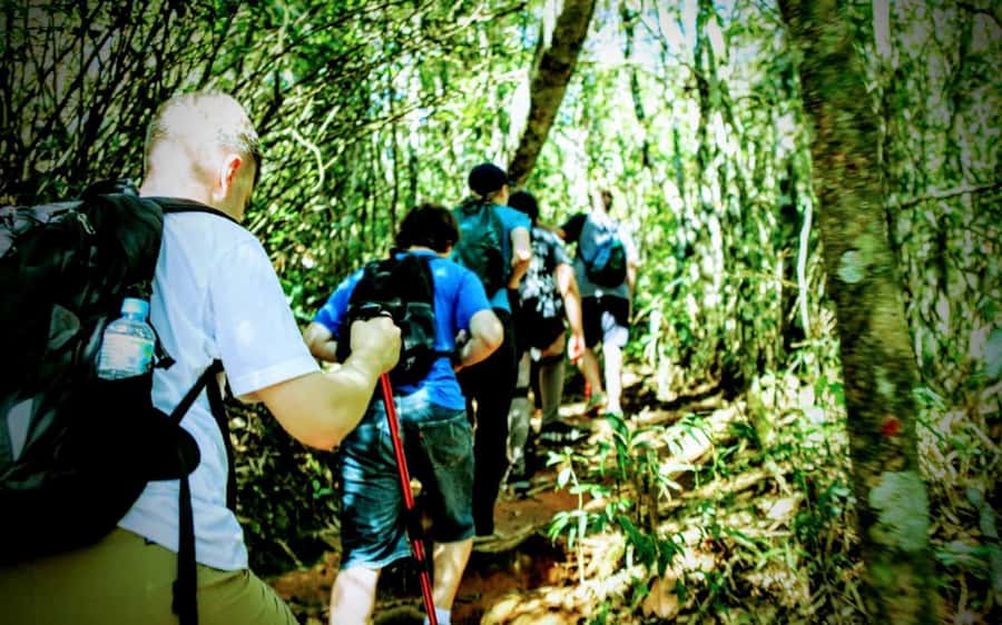 Rio de Janeiro: Tijuca Forest Challenge Hike Full-Day Trip - Vista Chinesa on working days: a bonus if your schedule matches