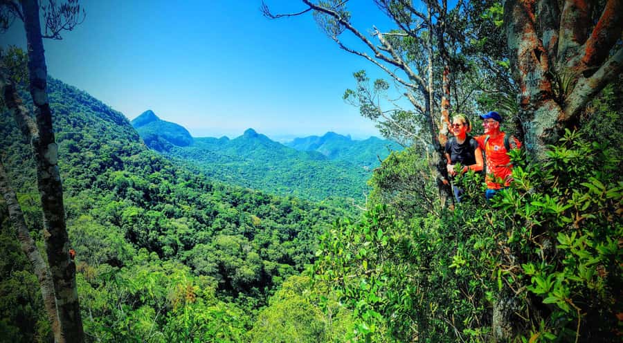 Rio de Janeiro: Tijuca Forest Challenge Hike Full-Day Trip - Cascatinha Taunay and Tijuca National Park: your warm-up in the green