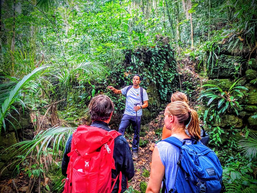 Rio de Janeiro: Tijuca Forest Challenge Hike Full-Day Trip - The viewpoint segment: Taquara Hill and clear-day city magic