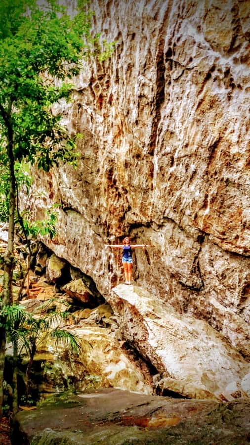 Rio de Janeiro: Tijuca Forest Challenge Hike Full-Day Trip - Old coffee farm ruins and the almost-secret trail feeling