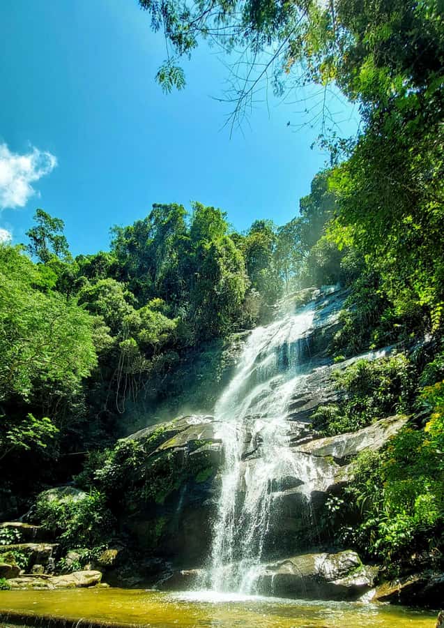 Rio de Janeiro: Tijuca Forest Challenge Hike Full-Day Trip - Grottoes, caves, and the Bat Cave stop