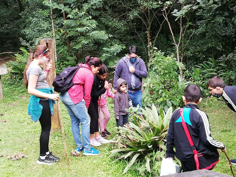 Rio de Janeiro: Tijuca Forest Waterfall of Souls Hike - The trail rhythm: breathing, cleansing streams, and spotting animals