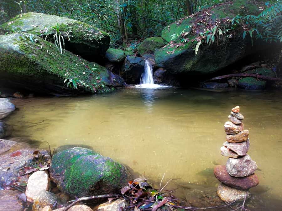 Rio de Janeiro: Tijuca Forest Waterfall of Souls Hike - The closing loop: painters escape garden, lake, and Mayrink Chapel