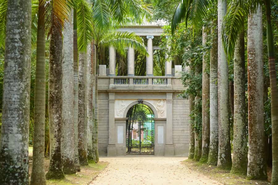 Rio de Janeiro: Tijuca National Park & Botanic Garden Tour - Hotel pickup and timing, the part that decides if this feels easy