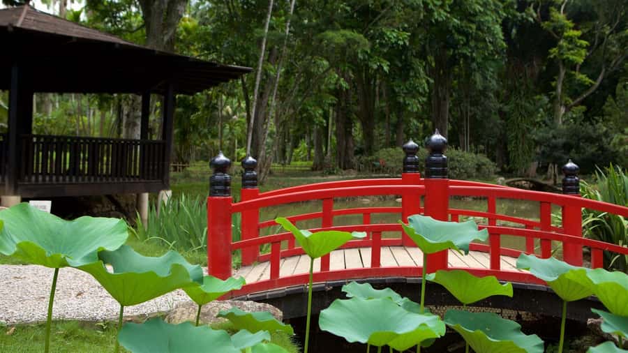 Rio de Janeiro: Tijuca National Park & Botanic Garden Tour - Weather and rain, the two things that can change your experience fast