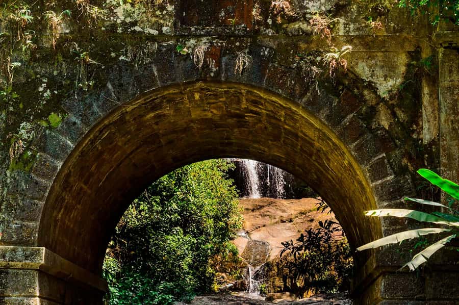Rio de Janeiro: Tijuca National Park & Botanic Garden Tour - Price and value: is $65 a fair deal for this 4-hour tour?