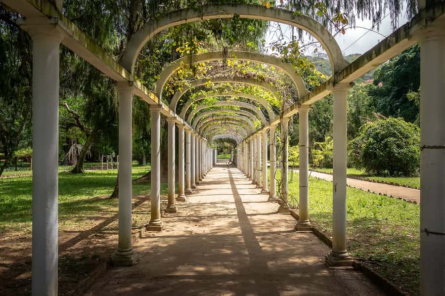Rio de Janeiro: Tijuca National Park & Botanic Garden Tour - Entering Tijuca National Park: what “urban forest” really means