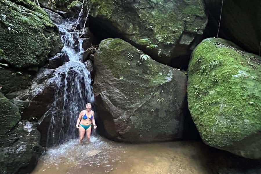 Rio de Janeiro: Tijuca National Park Tour - Who should book this Tijuca National Park morning?