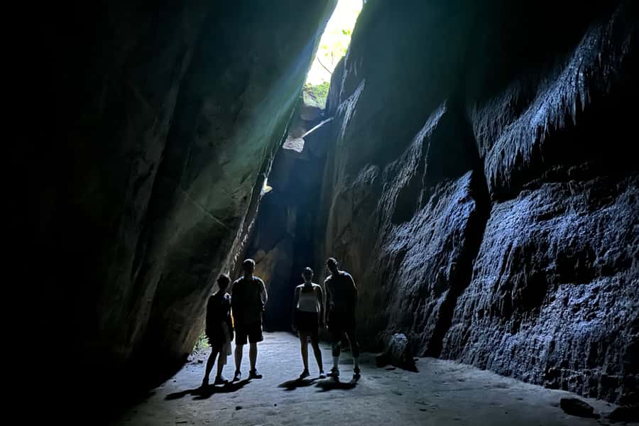 Rio de Janeiro: Tijuca National Park Tour - Wildlife and rainforest details: what you might actually spot