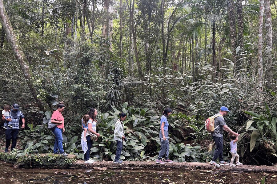 Rio de Janeiro: Tijuca National Park Tour - Your guide and the language option: what multilingual support means