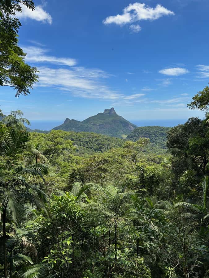 Rio de Janeiro: Tijuca National Park Tour - Waterfalls in Tijuca: Cascatinha Taunay and the cooling-off stops