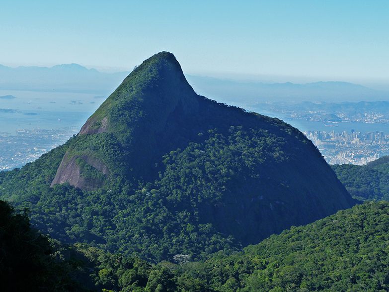 Rio de Janeiro: Tijuca Peak Guided Hike - Key takeaways before you go