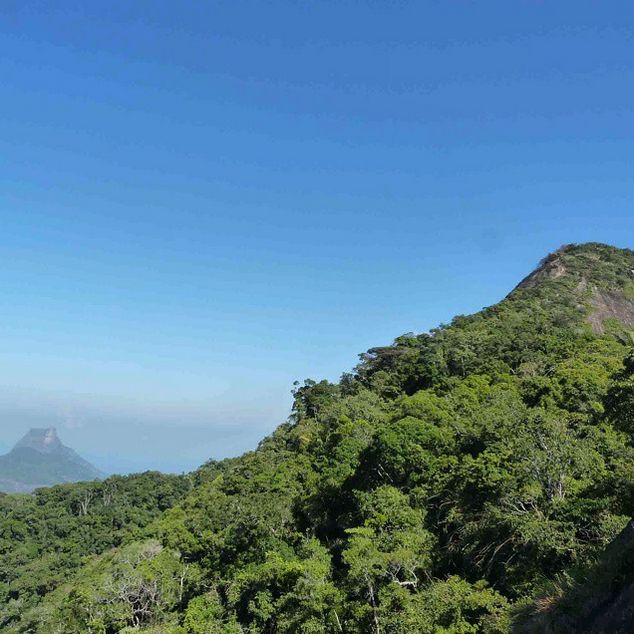 Rio de Janeiro: Tijuca Peak Guided Hike - What to bring, what to skip, and how to stay comfortable