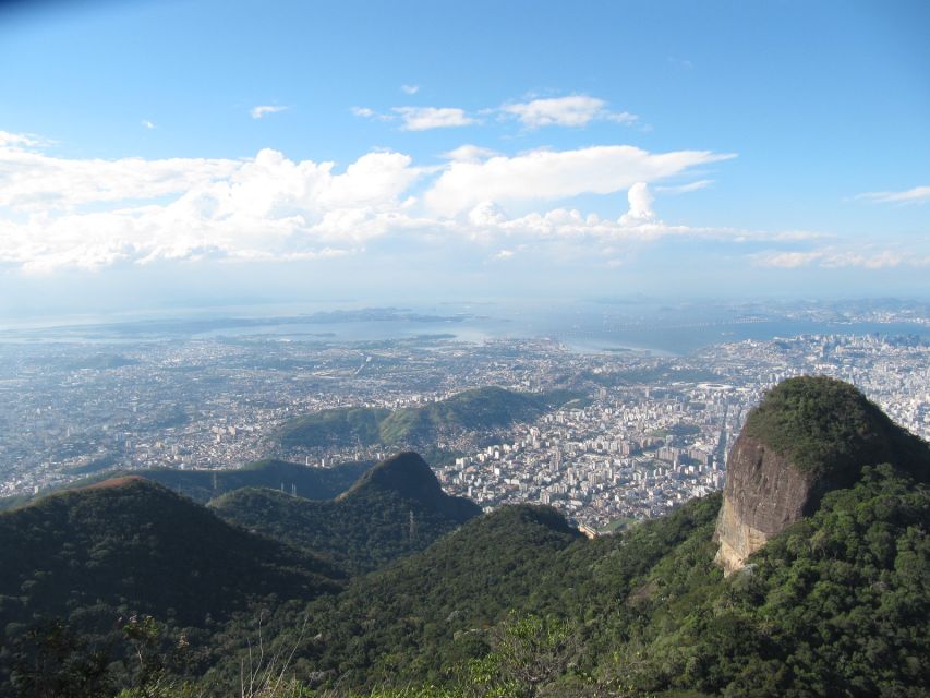 Rio de Janeiro: Tijuca Peak Guided Hike - Museum stop: the forest story you will actually remember